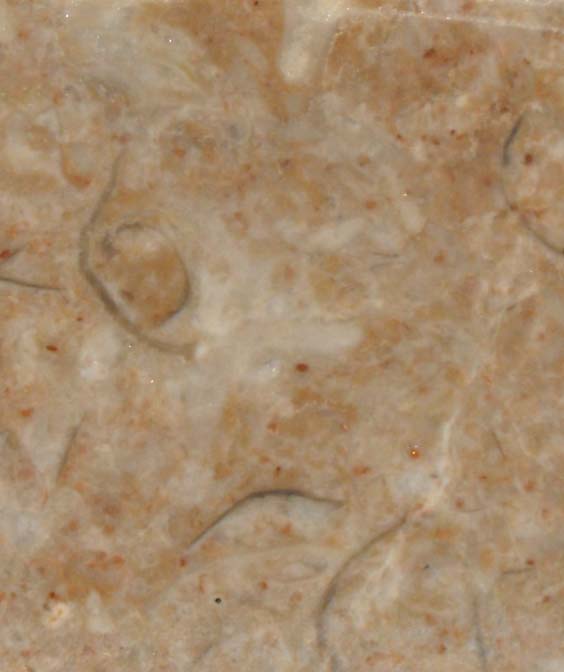Tennessee Brown Marble - Click Image to Close
