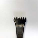 6 Point Claw