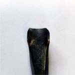 (image for) 1/2" Gouge