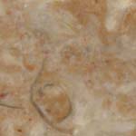 (image for) Tennessee Brown Marble